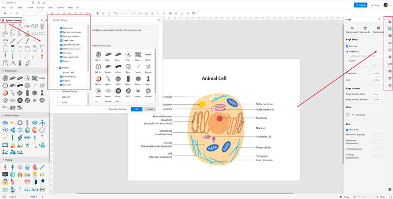 How to Create Animal Cell Diagram Online