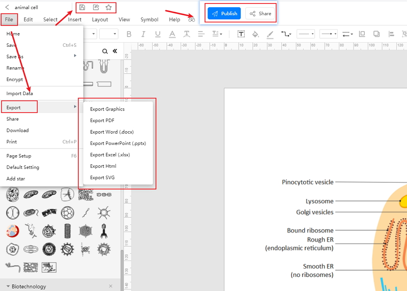 How to Create Animal Cell Diagram Online