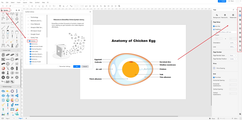 How to Create Egg Diagram Online