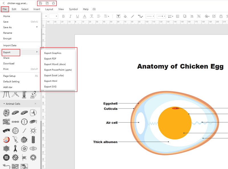 How to Create Egg Diagram Online