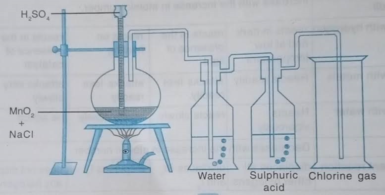 A Guide to Understand Chlorine with Diagram | EdrawMax Online