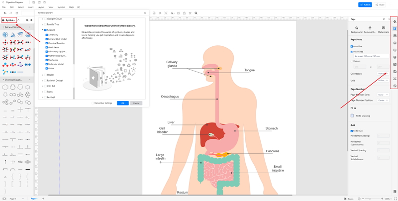 How to Create Digestion System Drawing Online