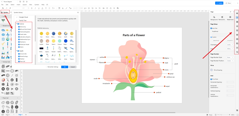 How to Create Parts of a Flower Diagram Online