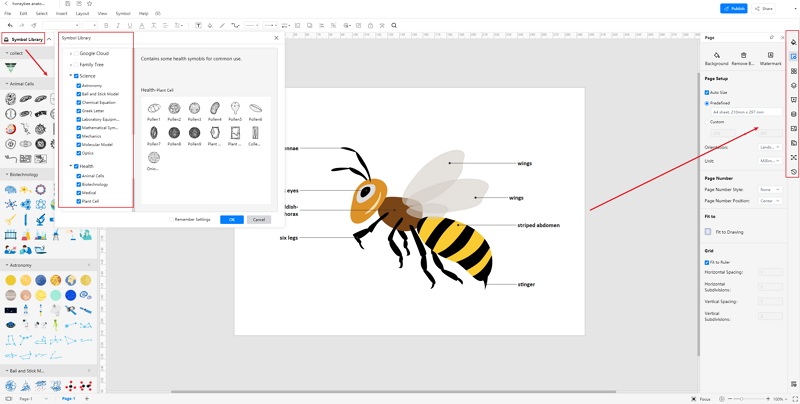 How to Create Honeybee Anatomy Online