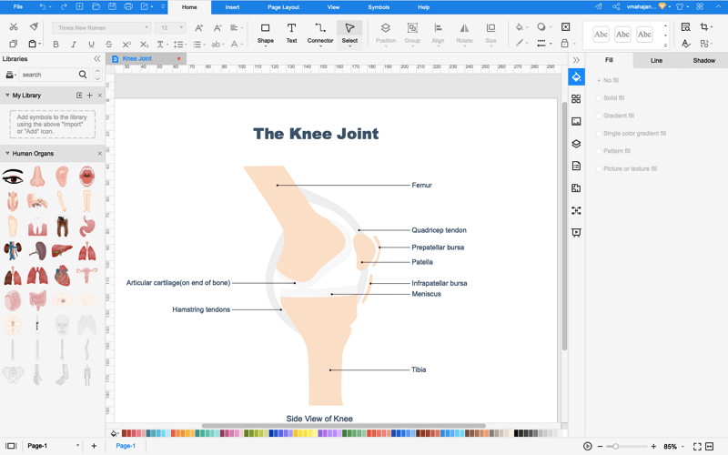 How to Create Knee Anatomy Online