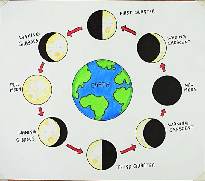 phases of the moon diagram for kids