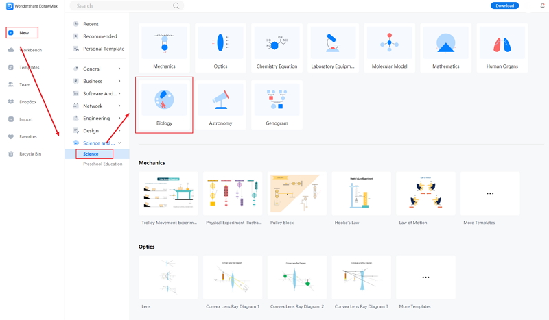 How to Create Mucor Diagram Online