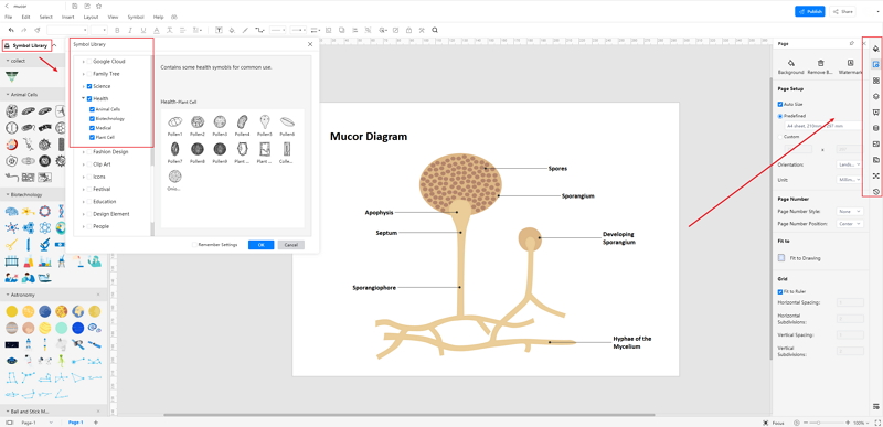 How to Create Mucor Diagram Online