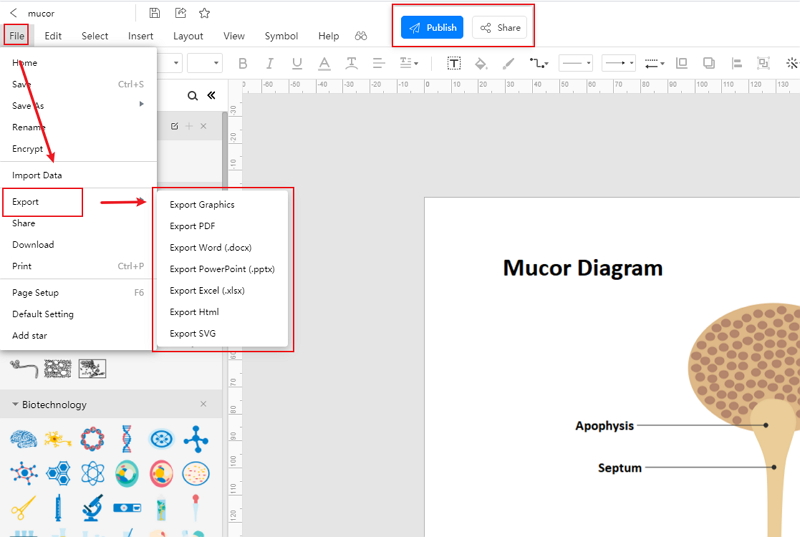 How to Create Mucor Diagram Online