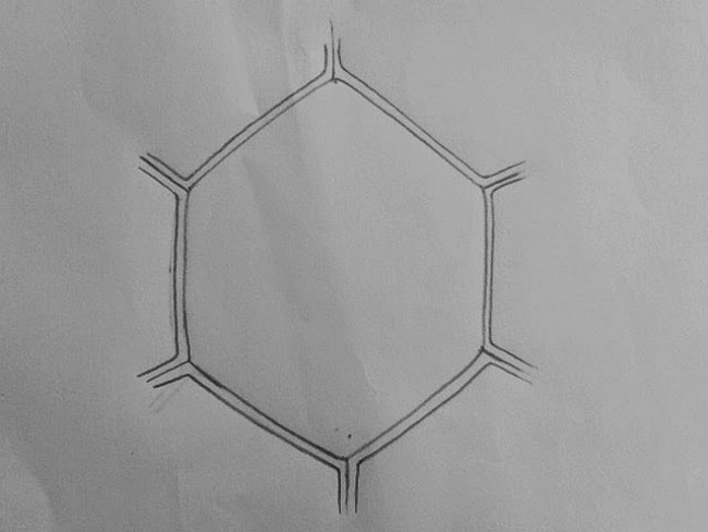 How to Create Plant Cell Diagram from Sketch