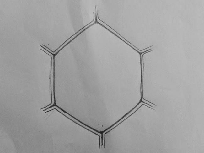 How to Create Plant Cell Diagram from Sketch