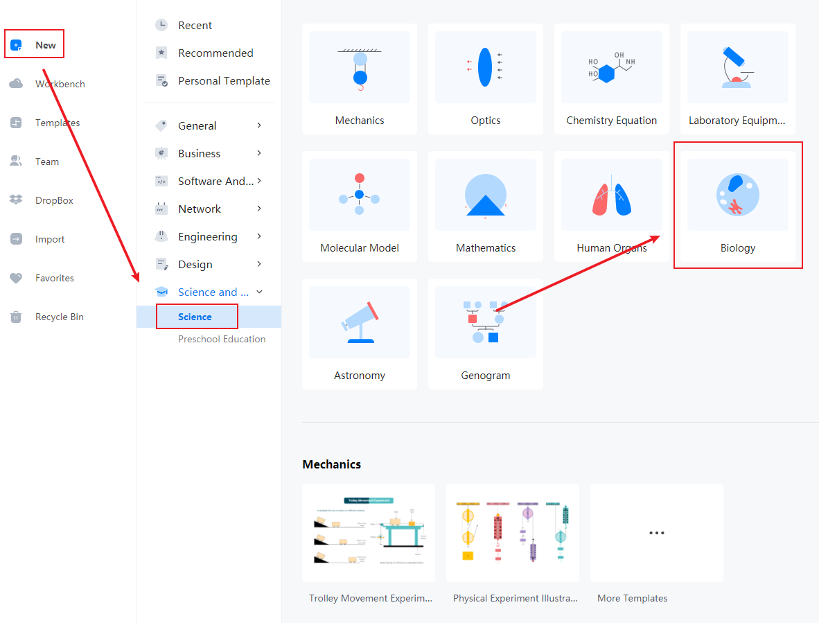 How to Create Plant Cell Diagram Online