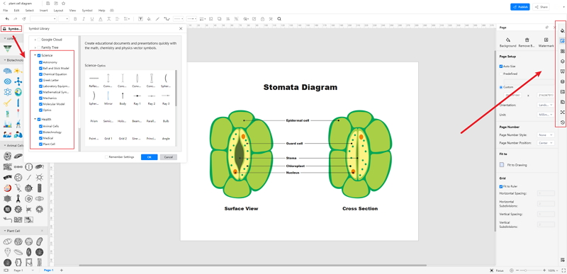 How to Create Stomata Diagram Online