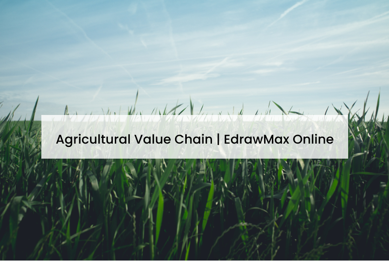 Agricultural Value Chain