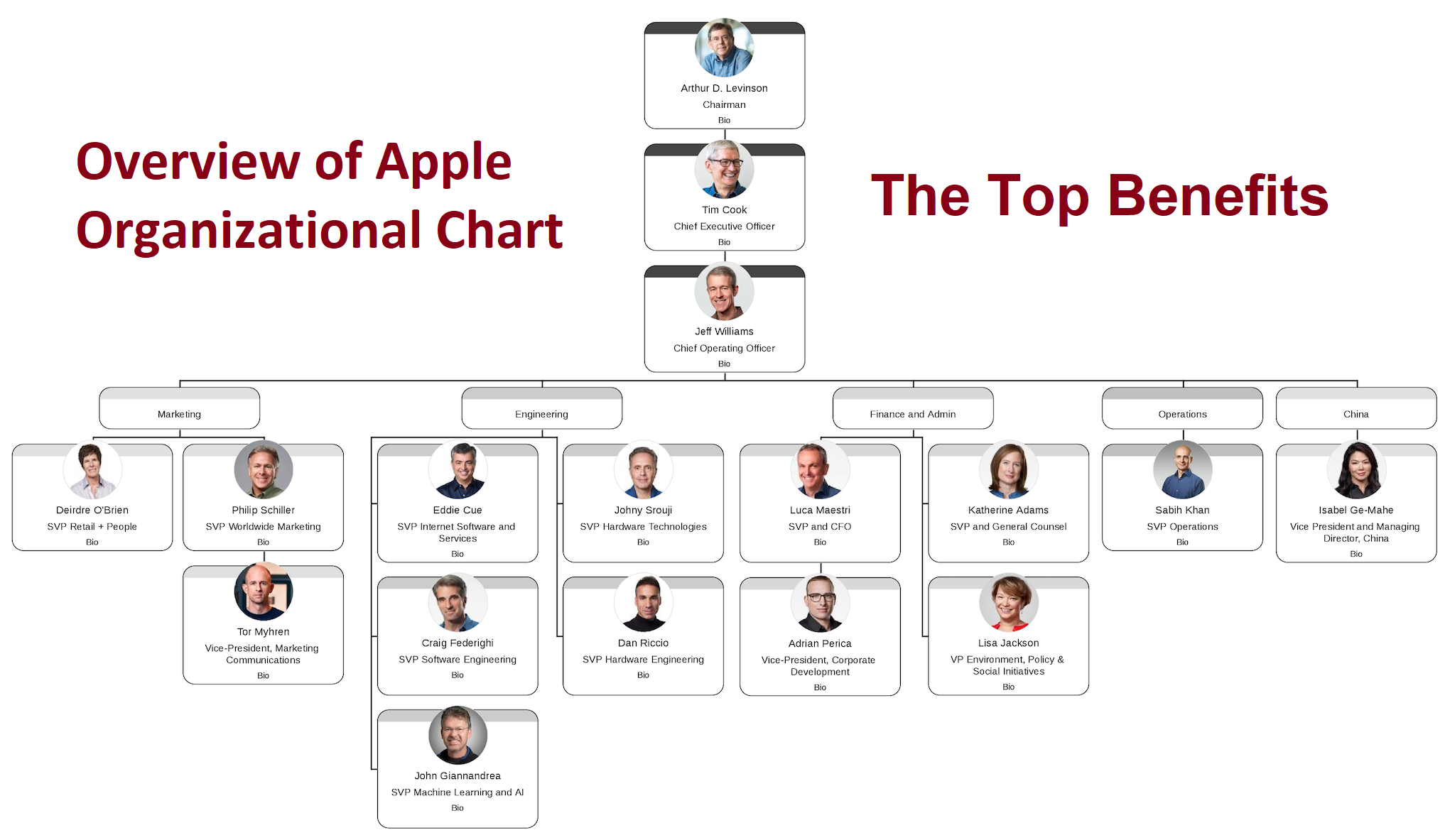 organizational structure of apple 