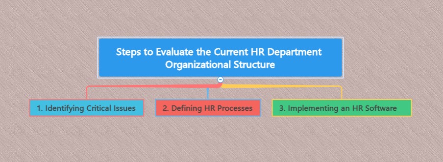 évaluation de la structure actuelle du service des ressources humaines