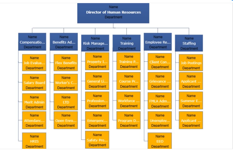 Human Resources Department Structure   Hr Department Org Chart Example 