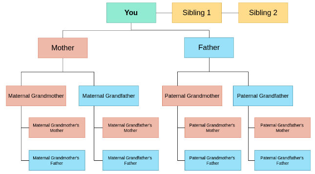 use ftree js to make org charts