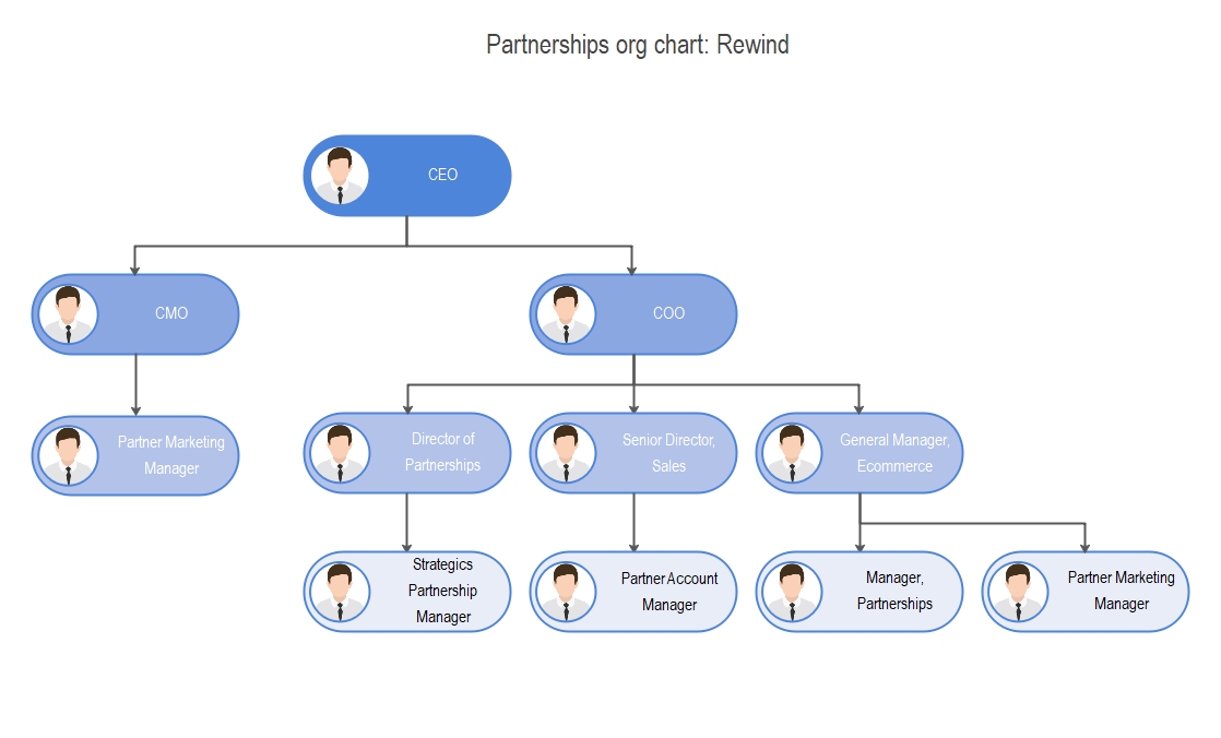 business plan partnership structure example