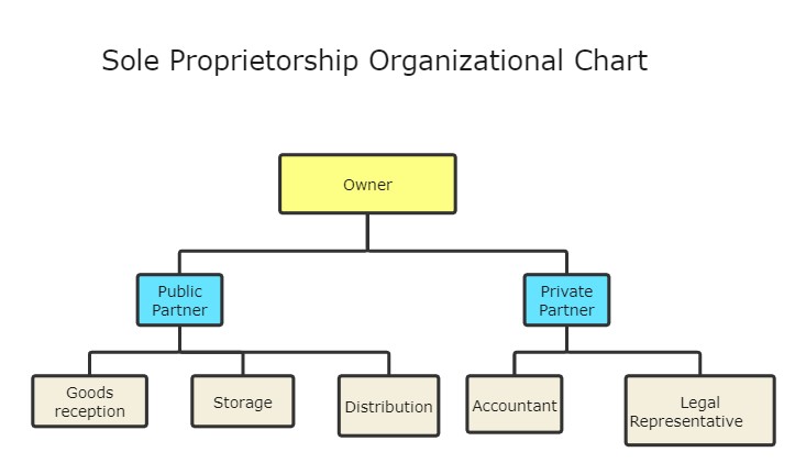 Sole Proprietorship Organizational Structure