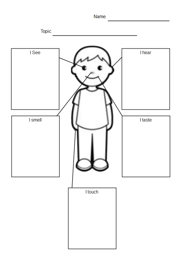 5 Sinne Graphic Organizer 