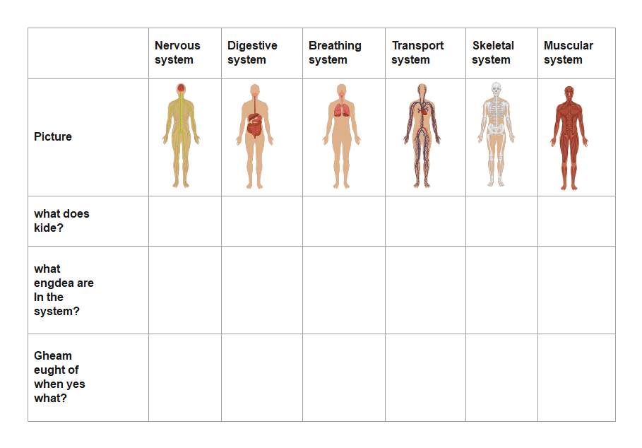 Free Editable Body Systems Graphic Organizer Examples Edrawmax Online