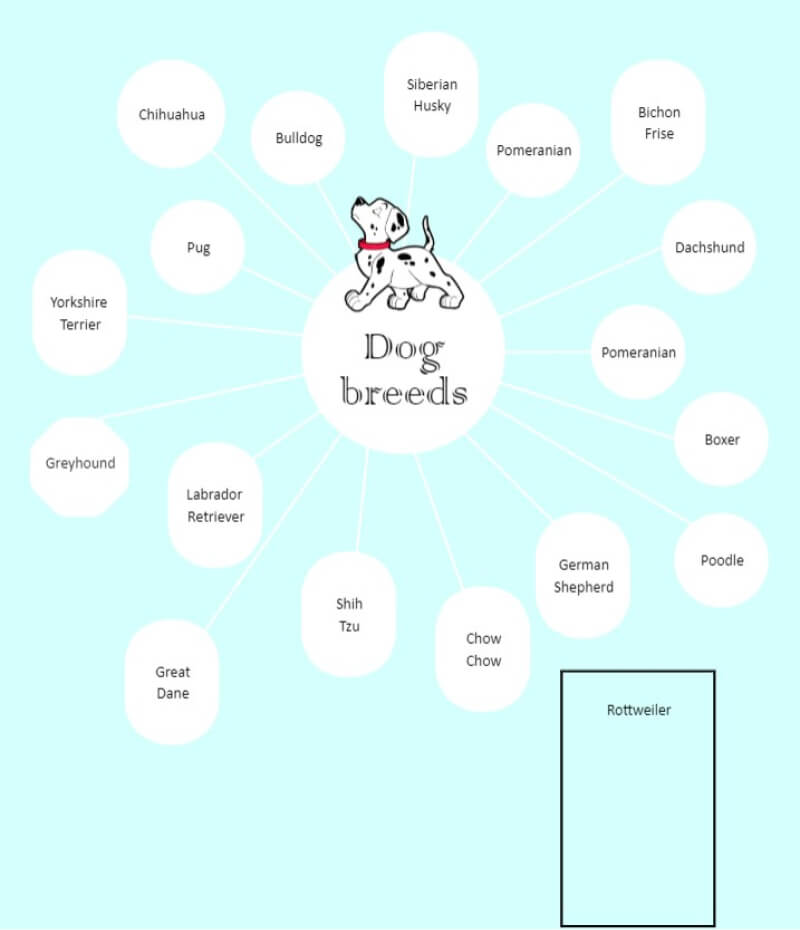 High School Bubble Map Examples