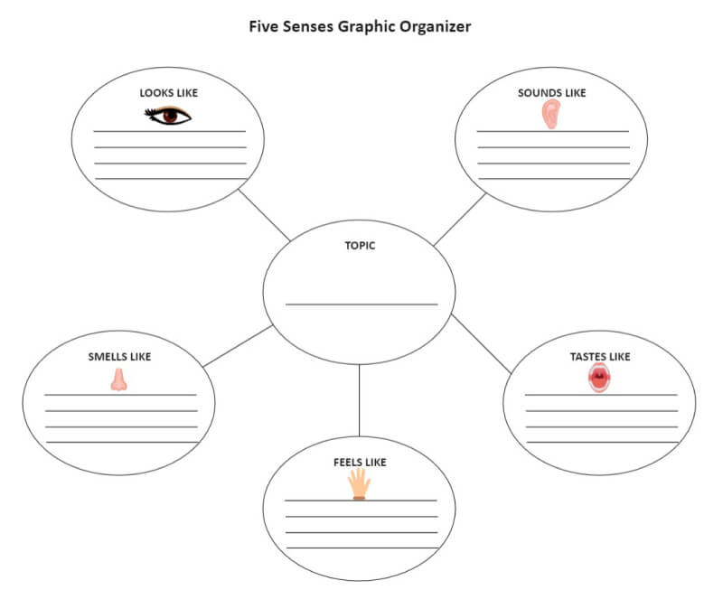 Bubble Map Graphic Organizer