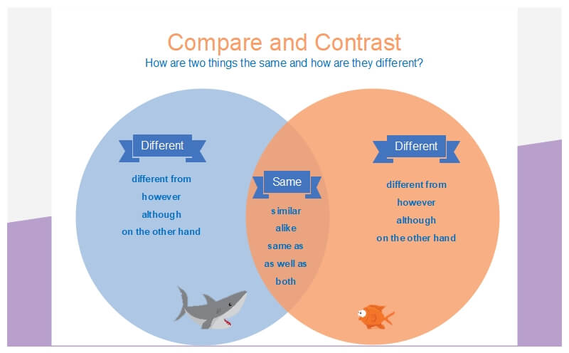 Compare And Contrast Graphic Organizer Examples Edrawmax Online