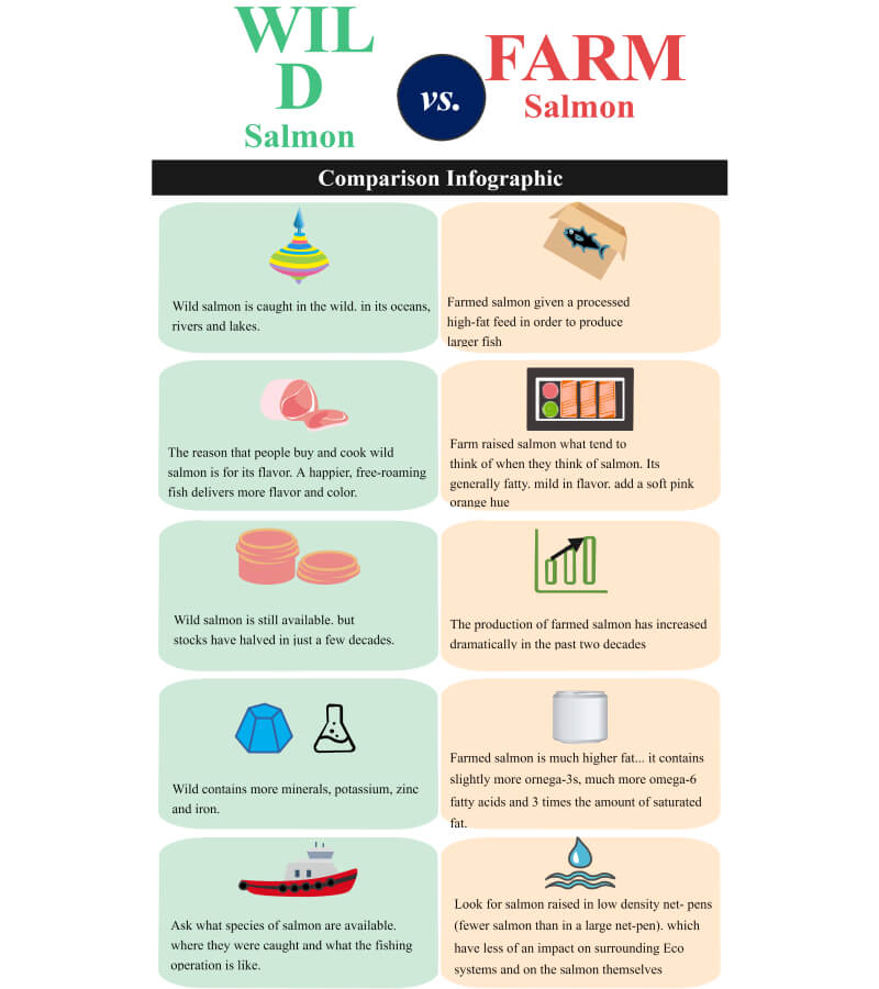 Infographie de comparaison côte à côte 