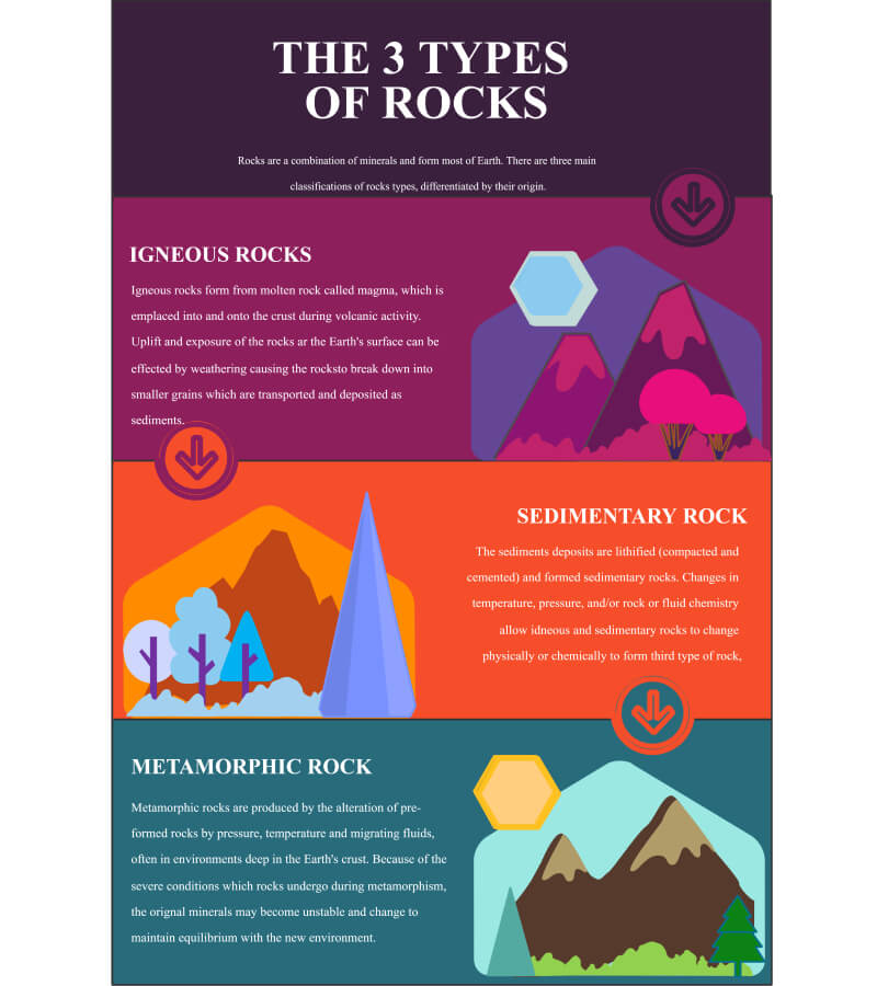 Three Comparison Infographic