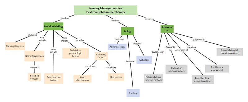 Nursing Concept Map