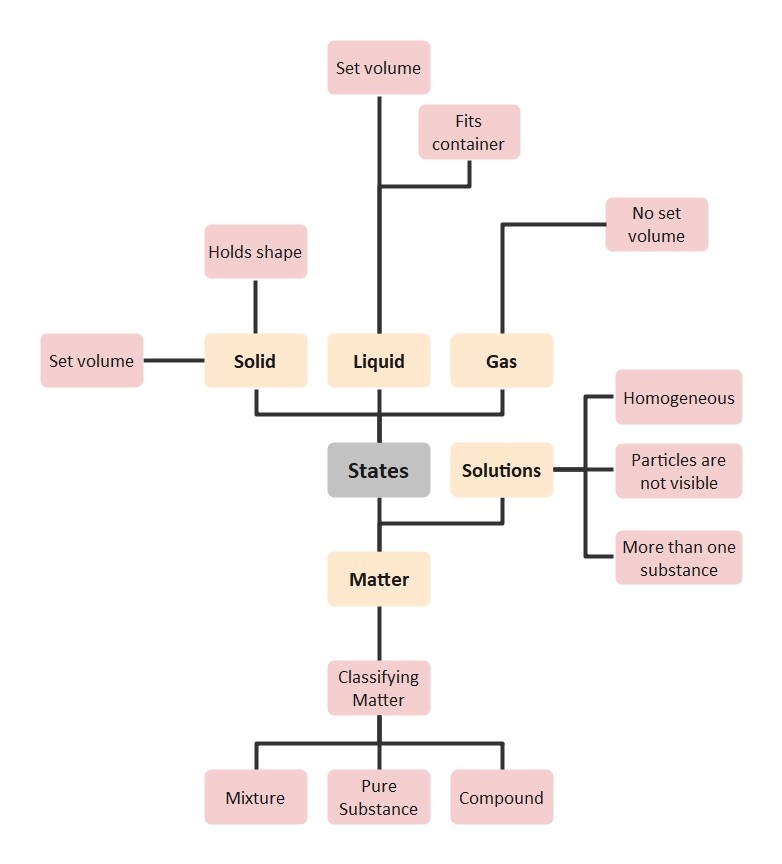 nucleic acid concept map answer key