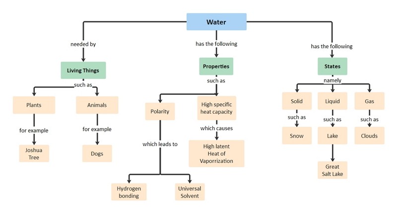 Biology Concept Map Example