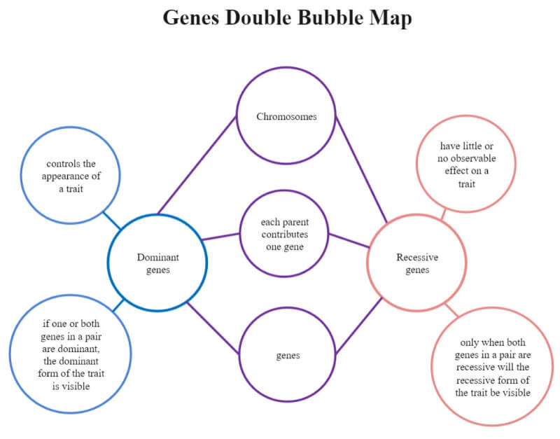 Doubble Bubble Map PDF