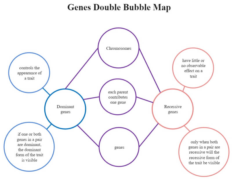 Carte à double bulle en PDF