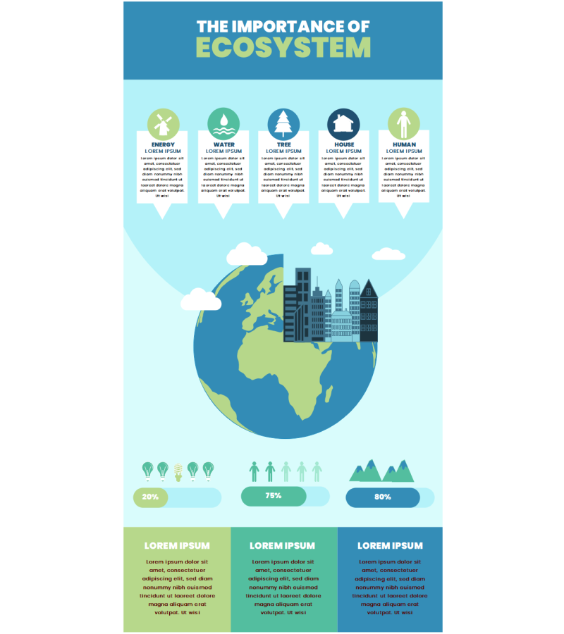 infographic examples for students