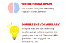 Infografik über zweisprachigen Unterricht