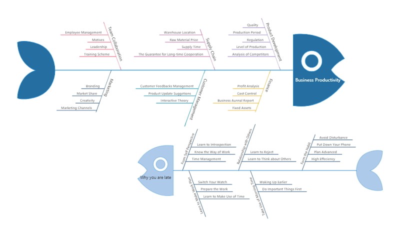 Fishbone Diagram Example