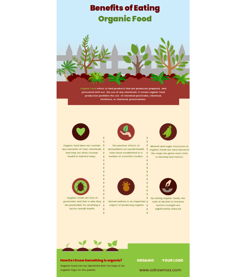 Organic Food Infographic