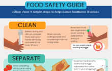 Food Safety Infographic