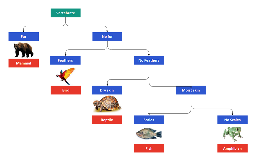 The dichotomous keys can give a better idea about those animals. 