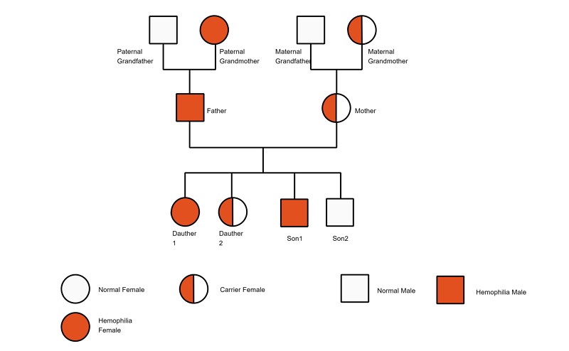 example of a genogram for 3 generations