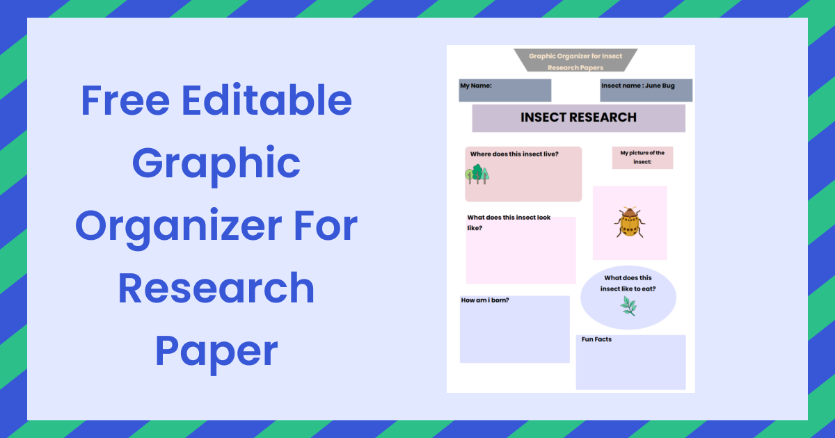 the research paper graphic organizer