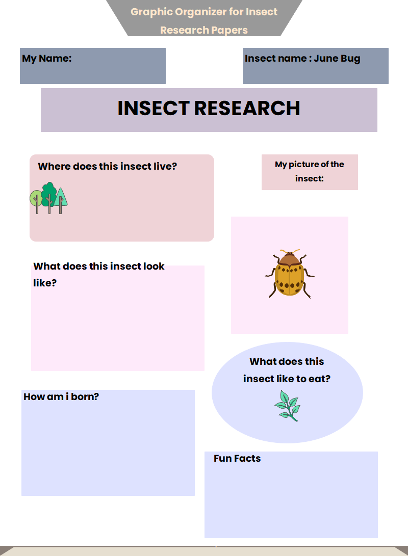 Graphic Organizer for Insect Research Papers