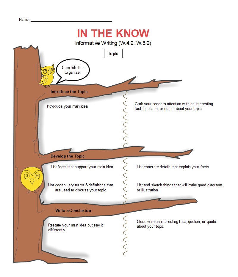 explanatory writing graphic organizer