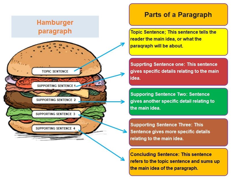 Free Editable Hamburger Paragraph Examples EdrawMax Online