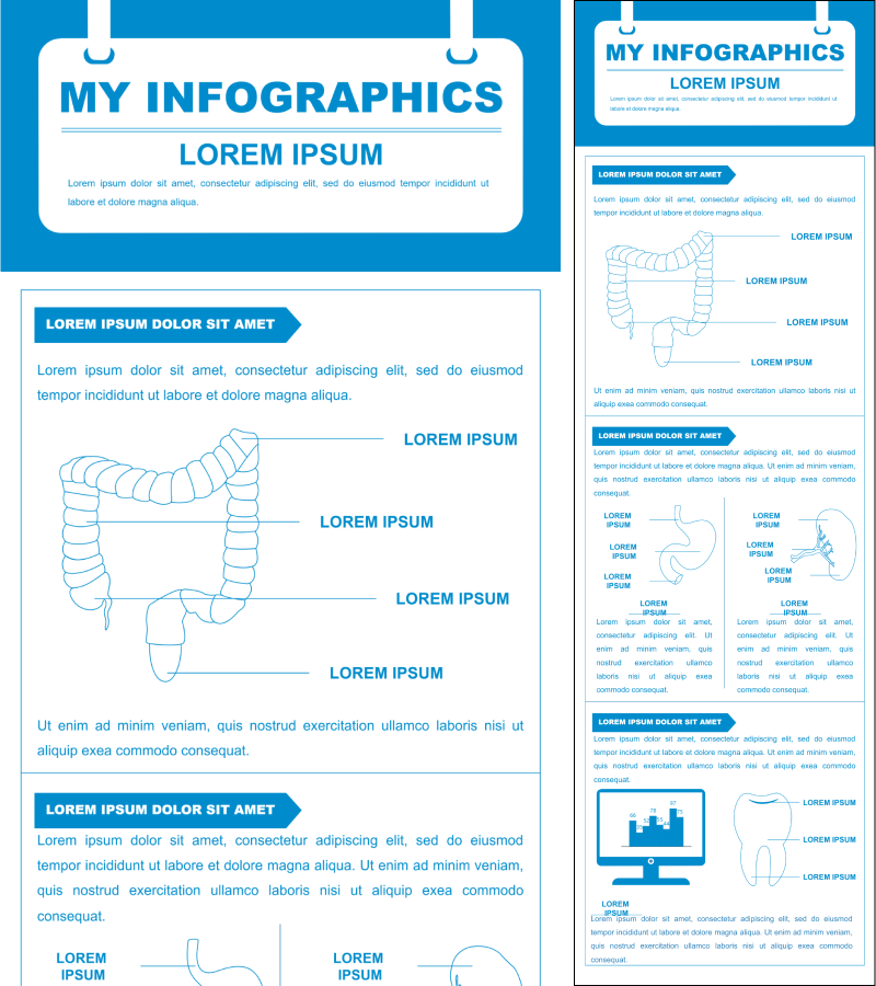 Infografik zur Darmgesundheit