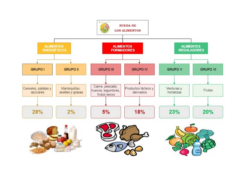 Food Storage Hierarchy Chart