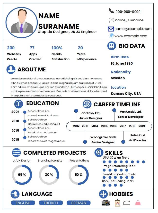 infographic resume templates for word